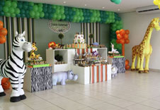 Theme party planner